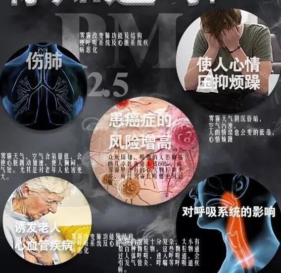 雾霾产生的疾病—樱花草视频在线观看高清免费7